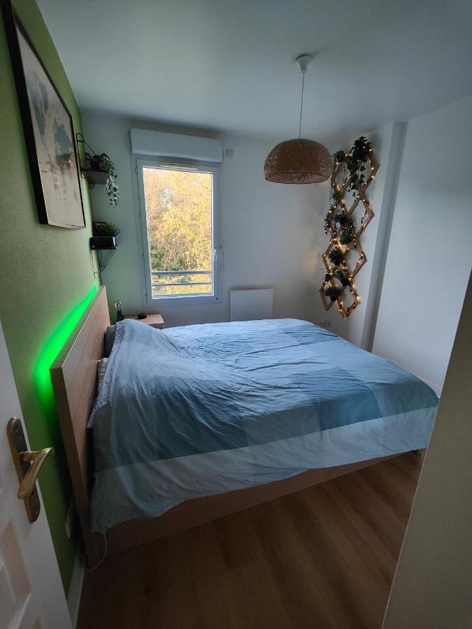 Appartement Centre Avec Balcon Parking Prive Орлеан Екстер'єр фото